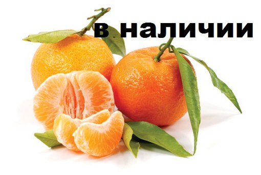 Мой пристрой. Раздача на следующей неделе. Мой пристрой. Раздача на следующей неделе.