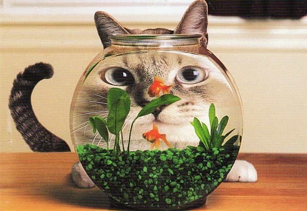 Ау участники автозаводского ЦР! Начнем погружение за рыбой и морскими деликатесами? Ведь теперь в обоих ЦР автозавода по морозильному ларю! Ау участники автозаводского ЦР! Начнем погружение за рыбой и морскими деликатесами? Ведь теперь в обоих ЦР автозавода по морозильному ларю!