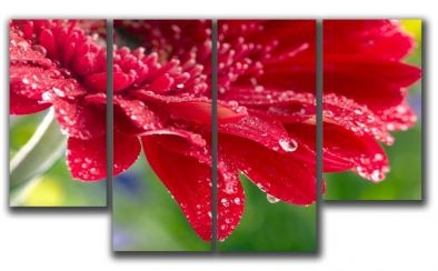 Сбор заказа. Очень красивые модульные картины, по доступным ценам Сбор заказа. Очень красивые модульные картины, по доступным ценам