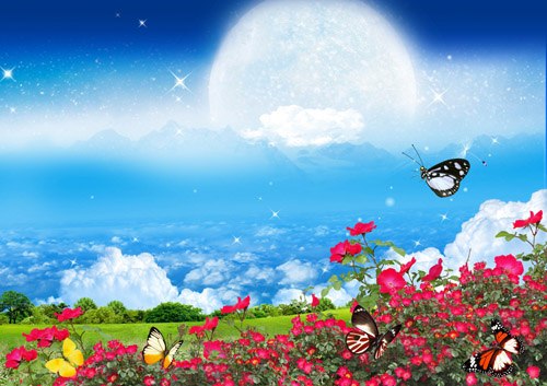 Обновлённое расписание по воздушной йоге Обновлённое расписание по воздушной йоге