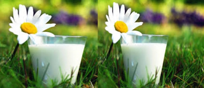 ЗАКВАСКИ Июнь 2-ая часть. Стоп 24 июня. Раздачи 28 июня. ЗАКВАСКИ Июнь 2-ая часть. Стоп 24 июня. Раздачи 28 июня.