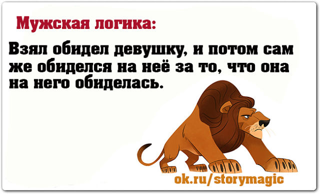 Мужская логика Мужская логика