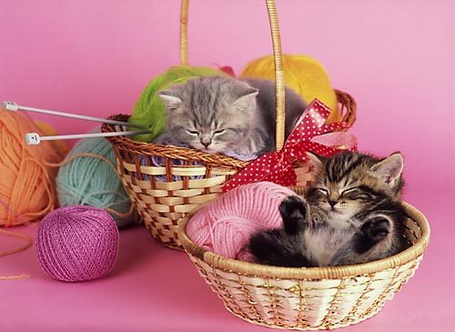 Сбор заказов. Все для шитья, рукоделия и творчества. А также: нужные мелочи для дома, ткани, фетр, атласные ленты, шторная лента, бисер, коробочки для мелочей, акриловые краски, скрапбукинг, декупаж и многое другое 4/16. Вкусные цены. Новинки. Сбор заказов. Все для шитья, рукоделия и творчества. А также: нужные мелочи для дома, ткани, фетр, атласные ленты, шторная лента, бисер, коробочки для мелочей, акриловые краски, скрапбукинг, декупаж и многое другое 4/16. Вкусные цены. Новинки.