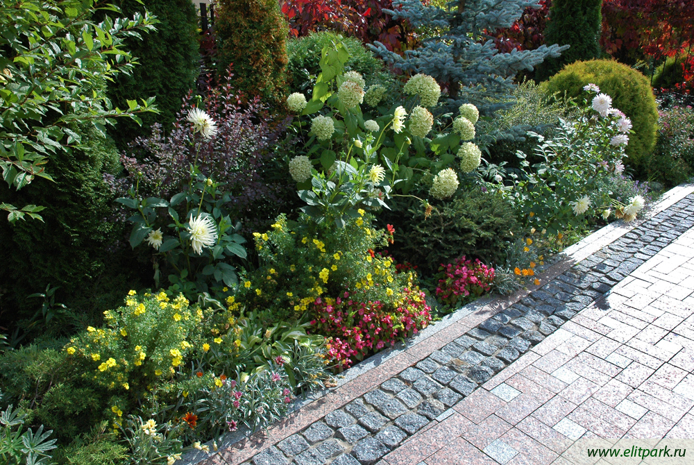 Огромный выбор многолетников, хвойных, декоративных и плодовых растений в контейнерах из питомника Агрофирмы Пousk-4. Лучшее качество от проверенного поставщика! Огромный выбор многолетников, хвойных, декоративных и плодовых растений в контейнерах из питомника Агрофирмы Пousk-4. Лучшее качество от проверенного поставщика!