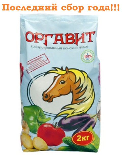 Сбор заказов. Конский и коровий навоз, а также куриный помет от Орг@вита! В@ше Плодородие рекомендует! Выкуп 6. Последний сбор в этом году. Стоп 28 августа. Сбор заказов. Конский и коровий навоз, а также куриный помет от Орг@вита! В@ше Плодородие рекомендует! Выкуп 6. Последний сбор в этом году. Стоп 28 августа.