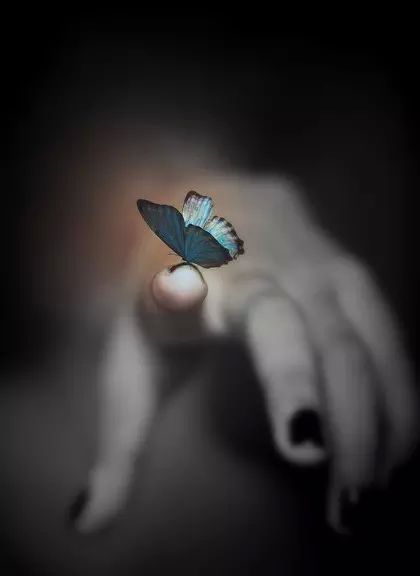 Чем старше, тем моложе, и еще 39 выводов в 40 Чем старше, тем моложе, и еще 39 выводов в 40