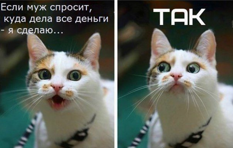 РАЗДАЧА 16 АВГУСТА--ЗАГЛЯНИТЕ В ПРИСТРОЙ) РАЗДАЧА 16 АВГУСТА--ЗАГЛЯНИТЕ В ПРИСТРОЙ)