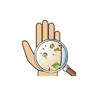 Сбор заказов No14(19.08).Безопасные дезинфицирующие средства для дома Сбор заказов No14(19.08).Безопасные дезинфицирующие средства для дома