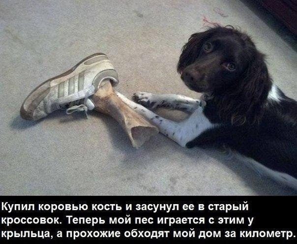 Умное Умное