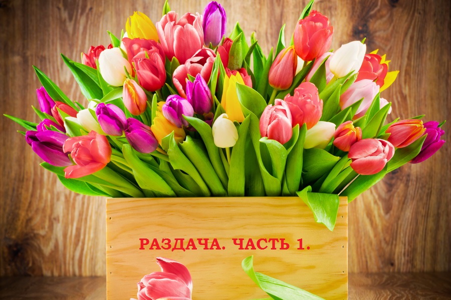 Раздача заказов. Цветик-семицветик. Предзаказ на осень 2016. Часть 1. Раздачи 11 сентября. Раздача заказов. Цветик-семицветик. Предзаказ на осень 2016. Часть 1. Раздачи 11 сентября.