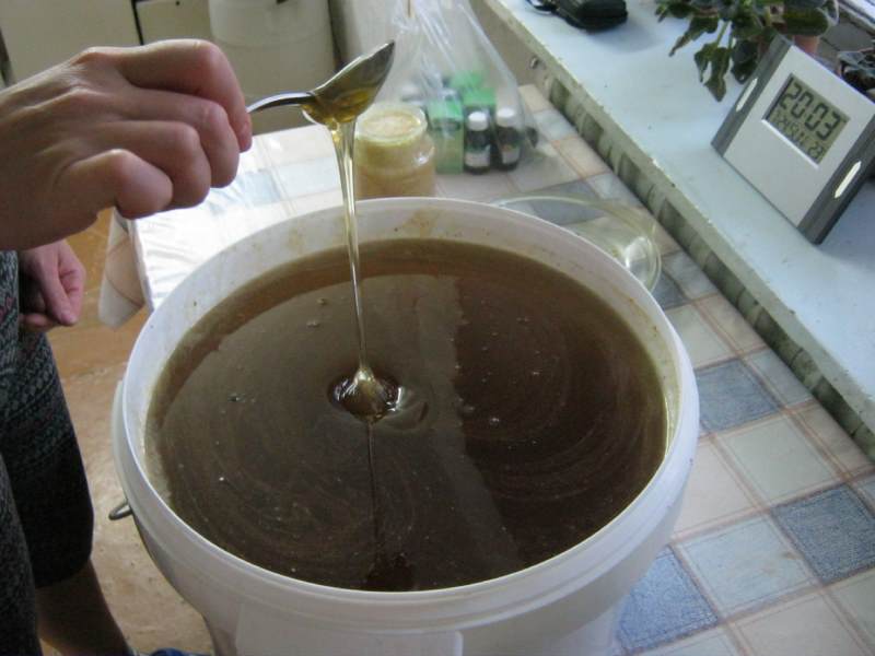 Наш гречишный мёд) Наш гречишный мёд)