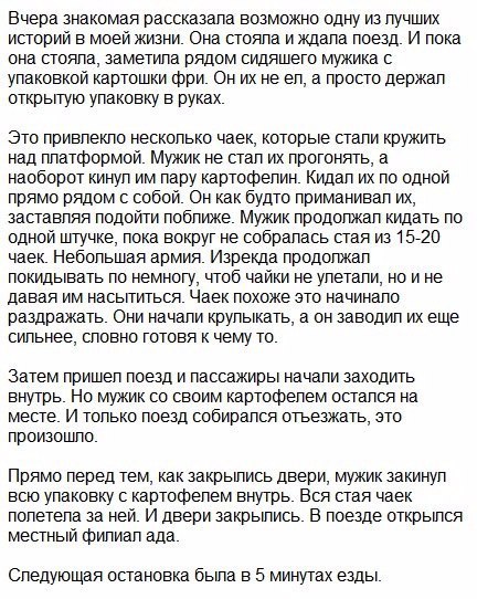 История из жизни (автор неизвестен) История из жизни (автор неизвестен)