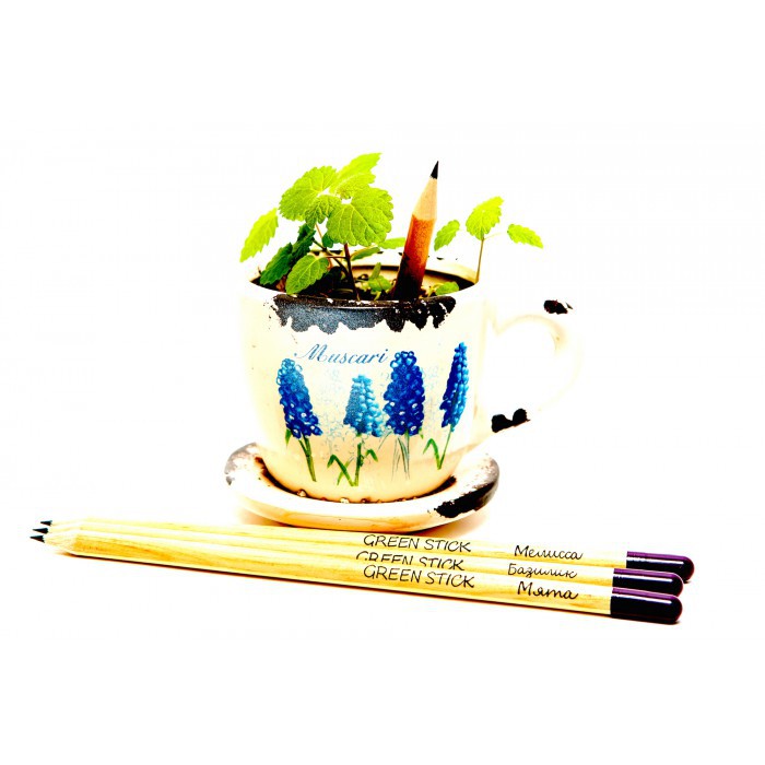 Не знаете чем удивить ребенка и взрослого? Вам сюда) Живые подарки от 155руб ! Оригинальный, недорогой, понравится любому) -2 Не знаете чем удивить ребенка и взрослого? Вам сюда) Живые подарки от 155руб ! Оригинальный, недорогой, понравится любому) -2