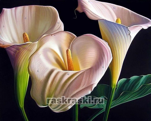 Сбор заказов. Раскраски по номерам, лаки, кисти, аксессуары, мольберты, рамки. Алмазная вышивка. Товары для детского творчества, наборы для скрапбукинга, пазлы! 24 Сбор заказов. Раскраски по номерам, лаки, кисти, аксессуары, мольберты, рамки. Алмазная вышивка. Товары для детского творчества, наборы для скрапбукинга, пазлы! 24