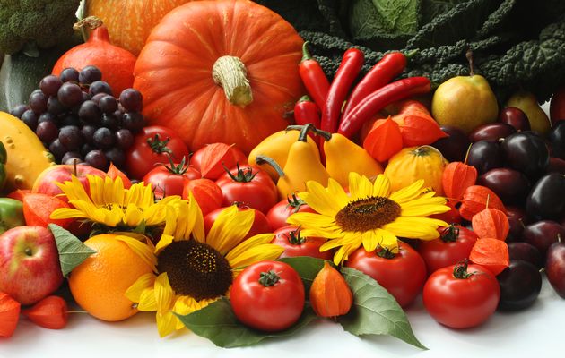 Семена цветов и овощей от агрофирмы Пousk. Только лучшие и проверенные сорта для Вашего сада Семена цветов и овощей от агрофирмы Пousk. Только лучшие и проверенные сорта для Вашего сада