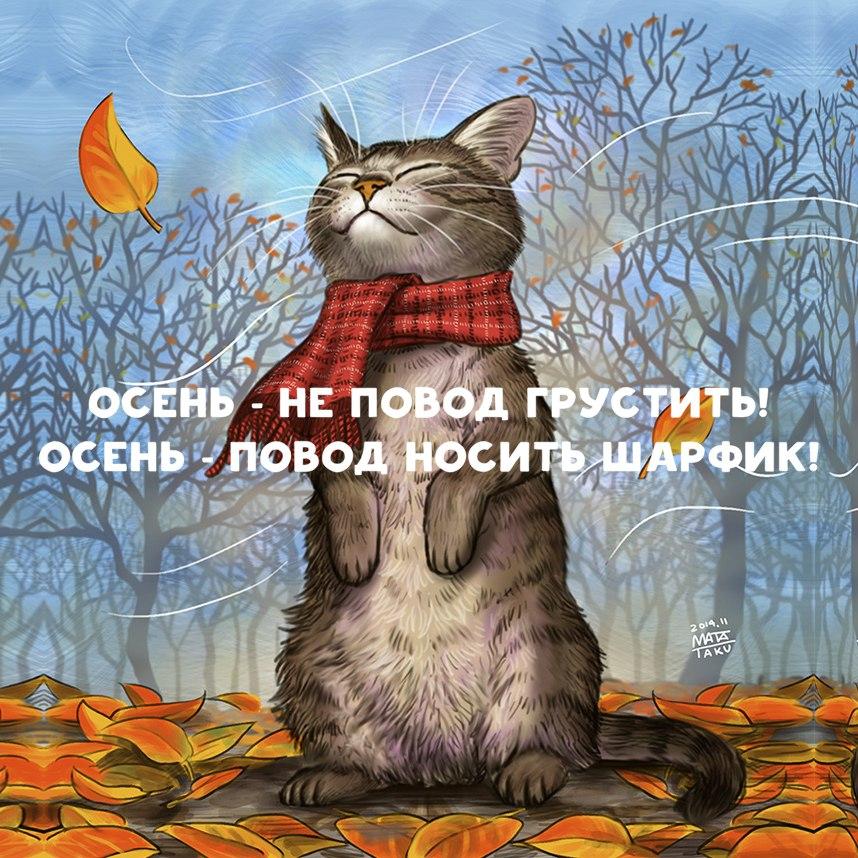 осень - не повод грустить, осень - повод носить шарфик :-) осень - не повод грустить, осень - повод носить шарфик :-)