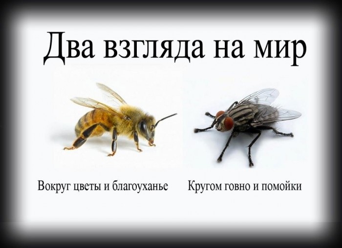 подобное тянется к подобному подобное тянется к подобному