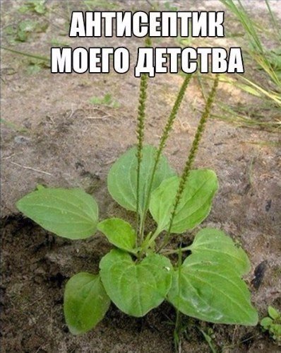 Умное Умное