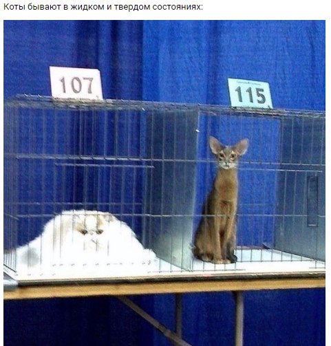 Удивительное Удивительное