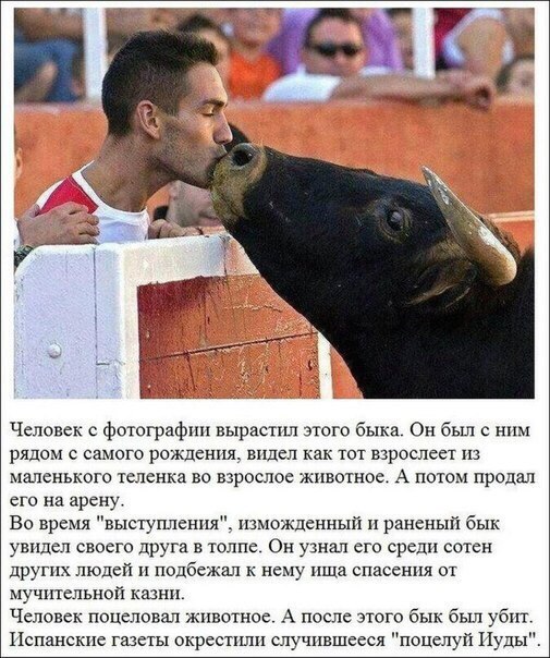 Удивительное Удивительное