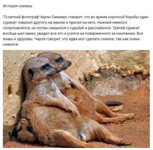 Удивительное Удивительное