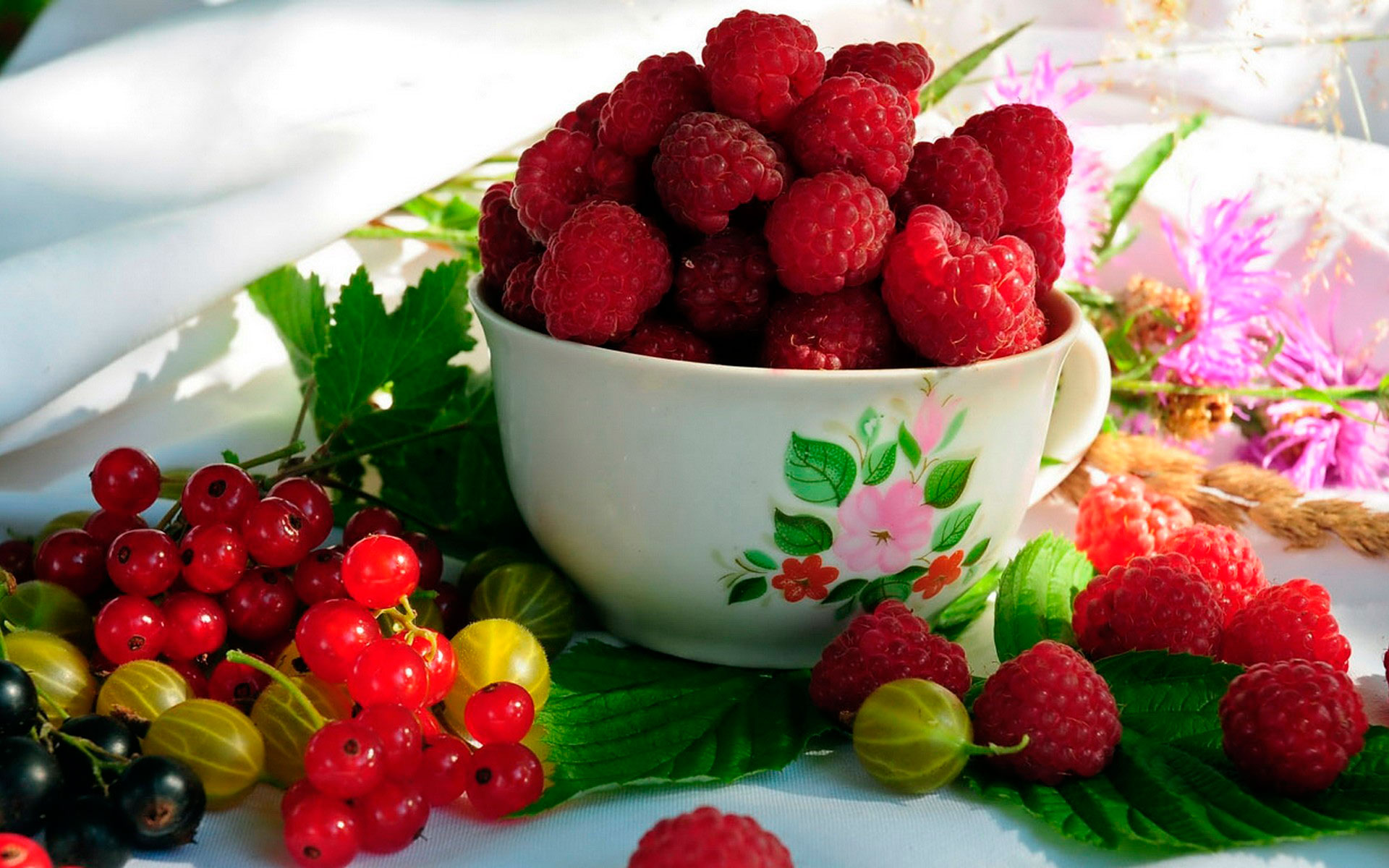 Плодово-ягодные саженцы. Розы, клематисы. предзаказ на весну 2017г Плодово-ягодные саженцы. Розы, клематисы. предзаказ на весну 2017г