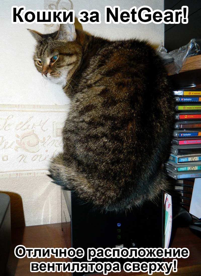 Кошка использует сетевой накопитель как обогреватель Кошка использует сетевой накопитель как обогреватель