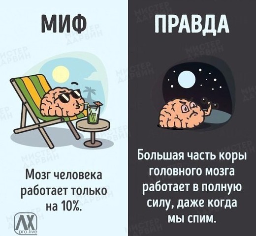 10 мифов о человеческом теле, которые пора забыть 10 мифов о человеческом теле, которые пора забыть