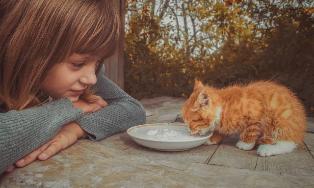 СТИХИ О ДОБРЕ И МИЛОСЕРДИИ СТИХИ О ДОБРЕ И МИЛОСЕРДИИ