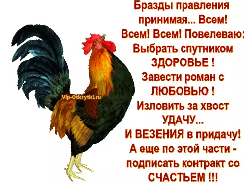 Поздравляю всех С Новым Годом! Поздравляю всех С Новым Годом!