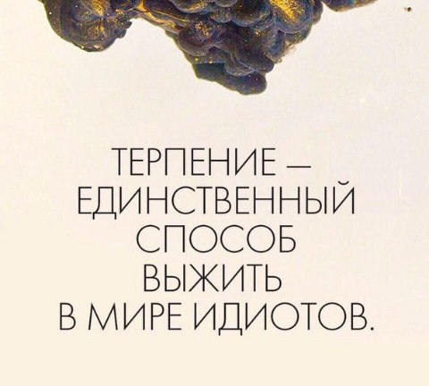 Умное Умное