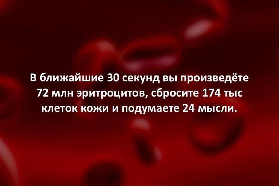 Удивительное Удивительное