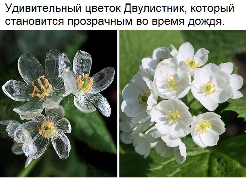 Удивительное Удивительное