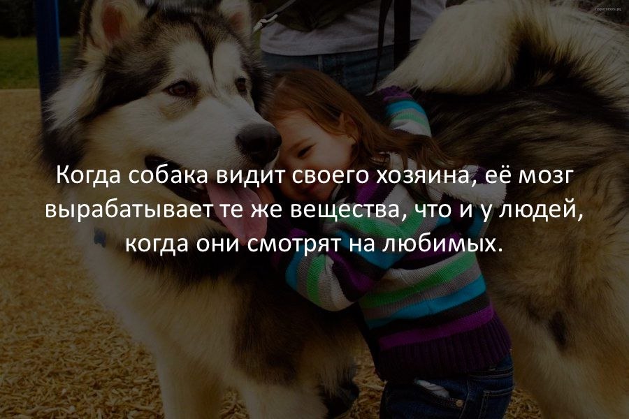Удивительное Удивительное