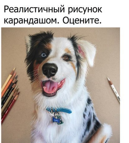 Удивительное Удивительное