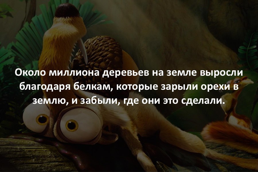 Умное Умное