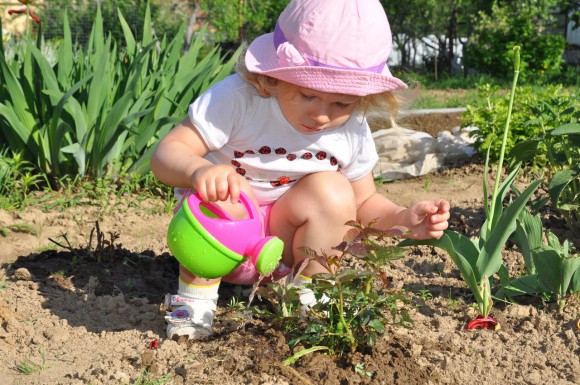 Биотехника. Семена цветов и овощных культур, газонные смеси. Северная селекция, выносливые гибриды приспособленные к нашему климату! А так же Удобная и эффективная лампа для подсветки растений. Биотехника. Семена цветов и овощных культур, газонные смеси. Северная селекция, выносливые гибриды приспособленные к нашему климату! А так же Удобная и эффективная лампа для подсветки растений.