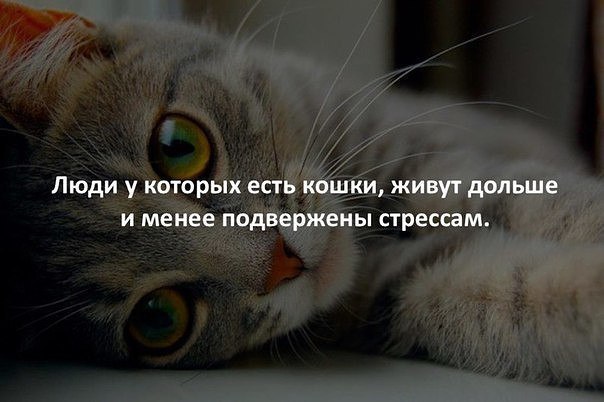 Удивительное Удивительное