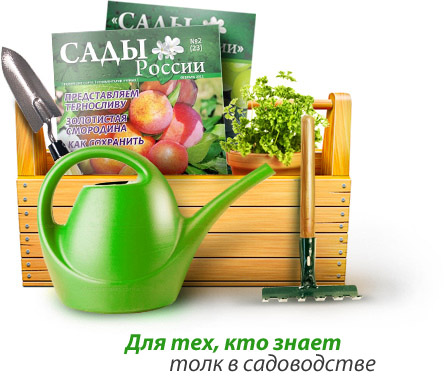ПРИСТРОЙ! Семена проверенного качества питомник C@ды Pоссии. выкуп 2. ПРИСТРОЙ! Семена проверенного качества питомник C@ды Pоссии. выкуп 2.
