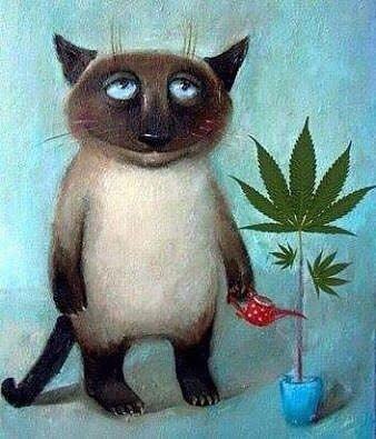 Умное Умное