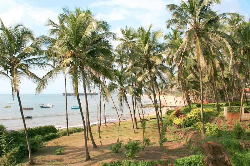 !!! ИНДИЯ, Гоа - из Н.Новгорода, 37000 руб. на 11 ночей !!! !!! ИНДИЯ, Гоа - из Н.Новгорода, 37000 руб. на 11 ночей !!!