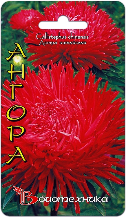 Сбор заказов. Био*техника - свежие семена от селекционера.Отличные гибриды цветов и овощей. Без рядов. Выкуп 1. Сбор заказов. Био*техника - свежие семена от селекционера.Отличные гибриды цветов и овощей. Без рядов. Выкуп 1.