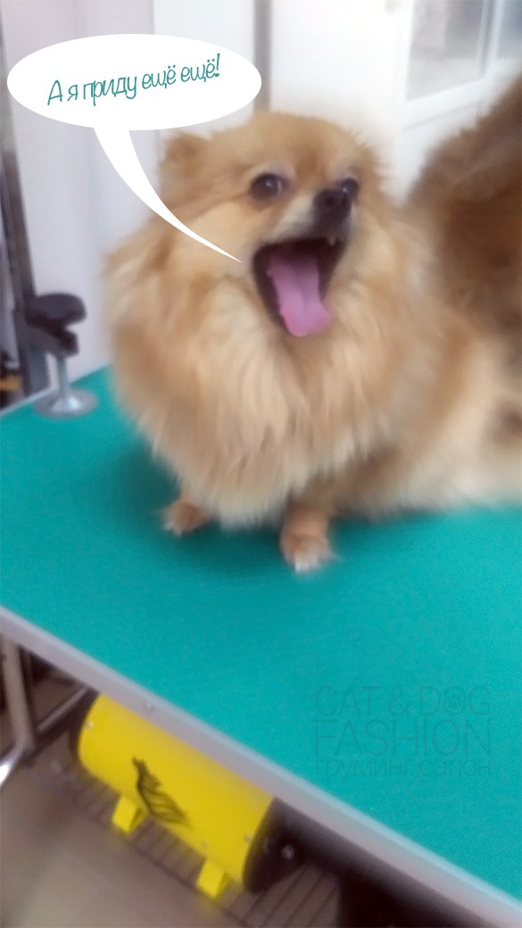 Счастливые клиенты Счастливые клиенты