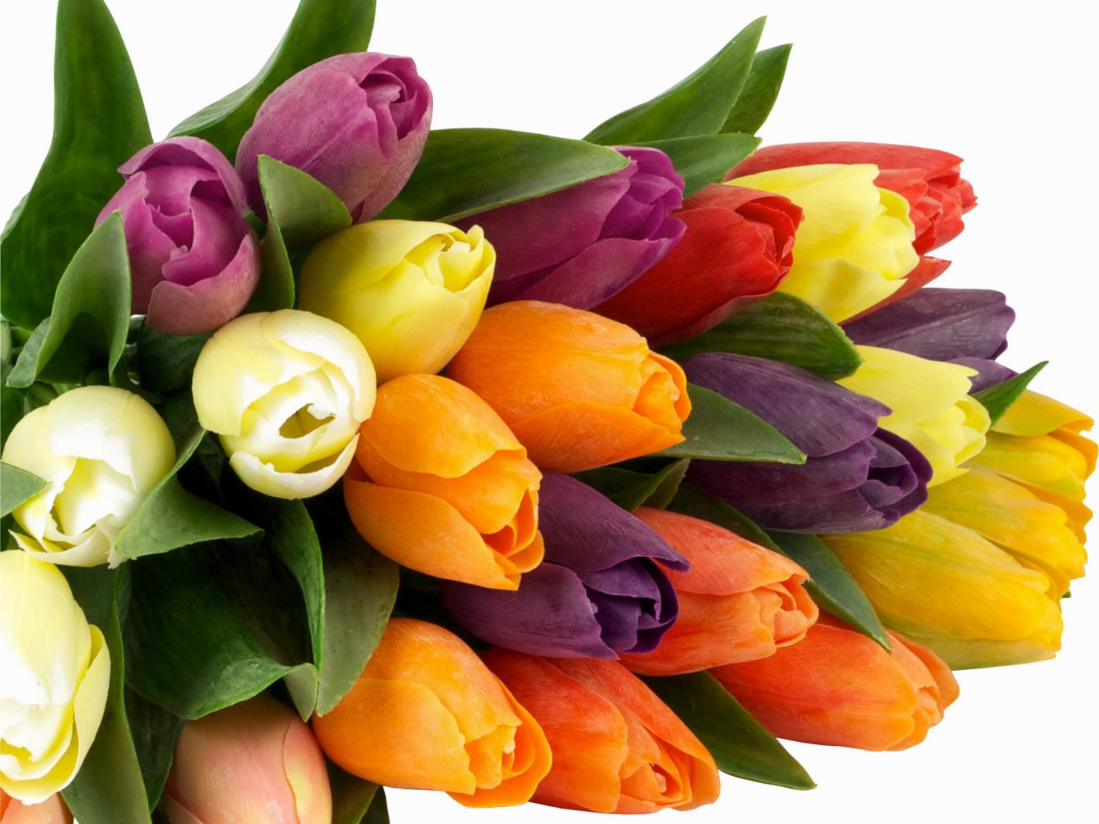 Дорогие друзья! Поздравляю Вас с 8 марта! Дорогие друзья! Поздравляю Вас с 8 марта!