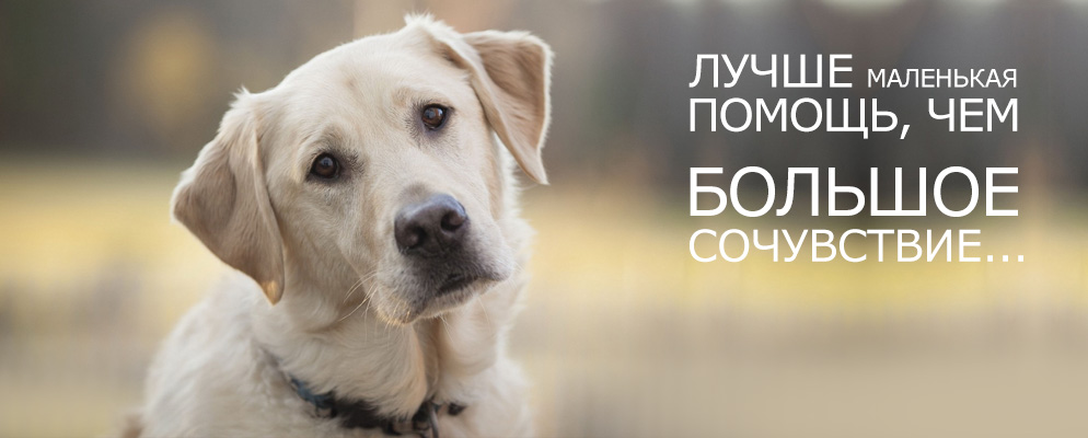 ДОБРОТА СПАСЕТ! ДОБРОТА СПАСЕТ!