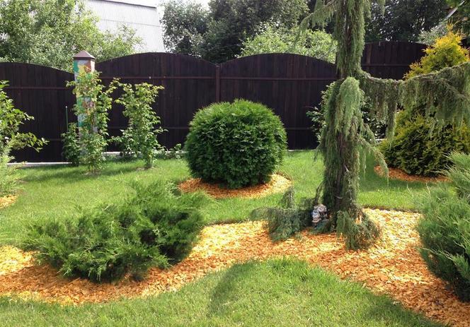 Сбор до 31.03. Евромульч@ - добавьте изысканности в оформление своего сада и огорода! Декоративная щепа. Выкуп 5. Сбор до 31.03. Евромульч@ - добавьте изысканности в оформление своего сада и огорода! Декоративная щепа. Выкуп 5.