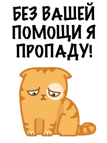 Расцениваю данные действия как акт жестокости к бездомным животным!!! Расцениваю данные действия как акт жестокости к бездомным животным!!!