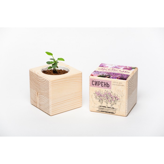 ЖИВЫЕ ПОДАРКИ!!!!)))) -17 удивите не только ребенка, но и взрослого ЖИВЫЕ ПОДАРКИ!!!!)))) -17 удивите не только ребенка, но и взрослого