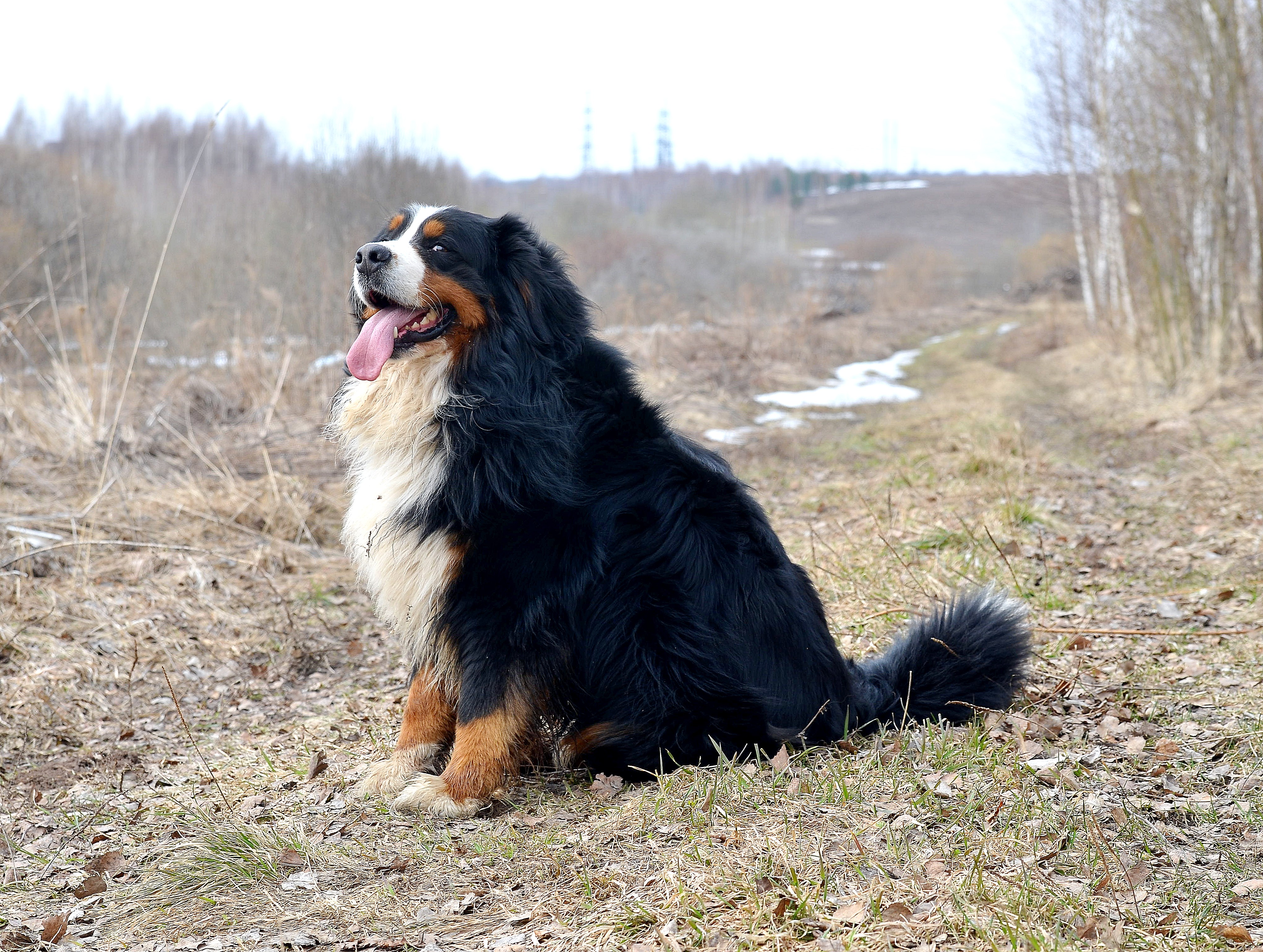 фотопрогулки! фотопрогулки!