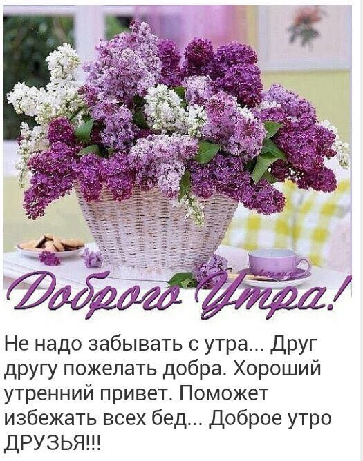 Всем счастья и добра! Всем счастья и добра!